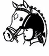 Pony sport